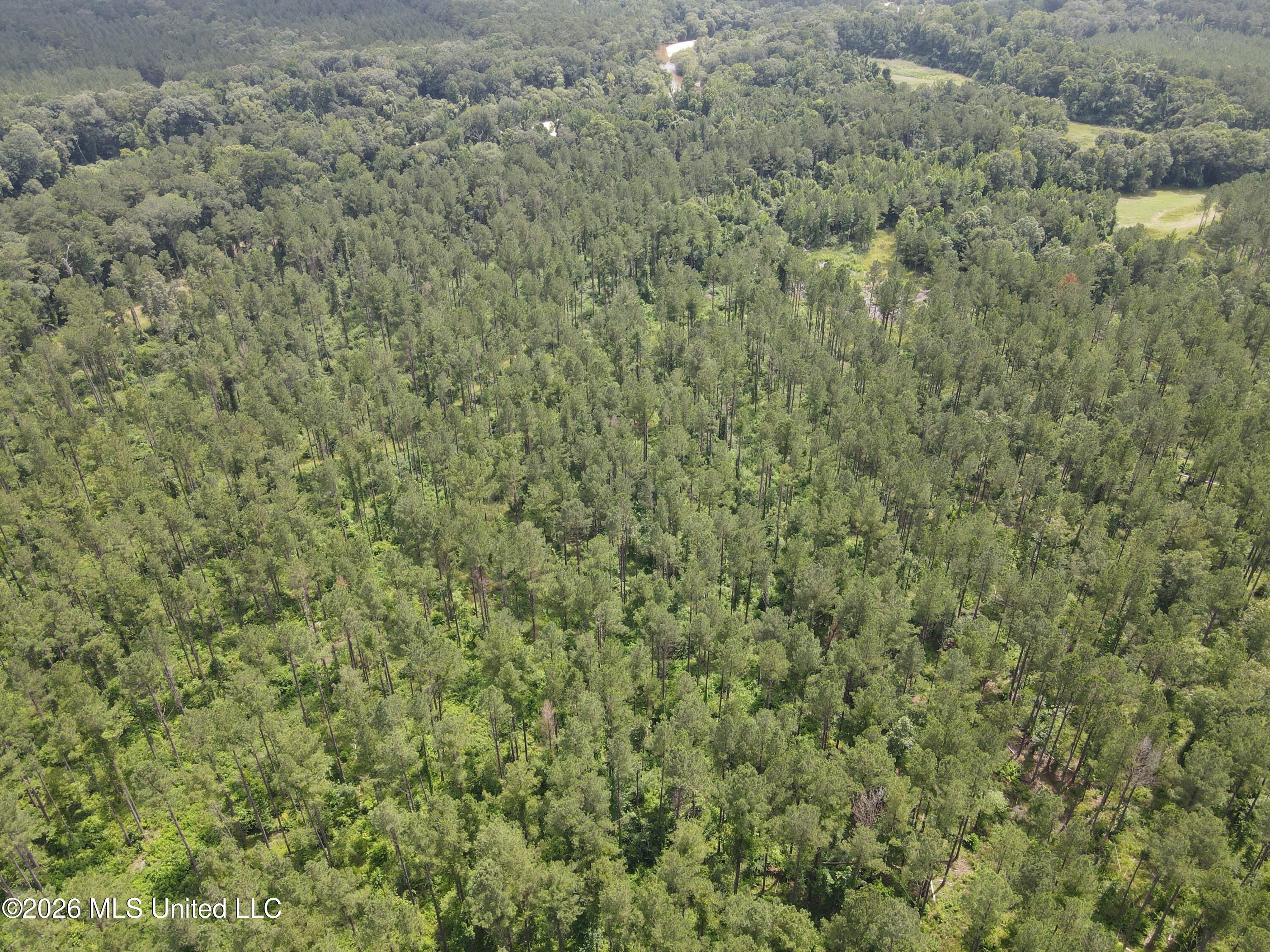 244 Foster Road Sontag, MS 39665 - Photo 71 of 105 35647
