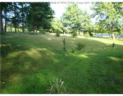 0 Rt 1 Millwood, WV 25262 - Photo 2 of 8 Land/Lot.