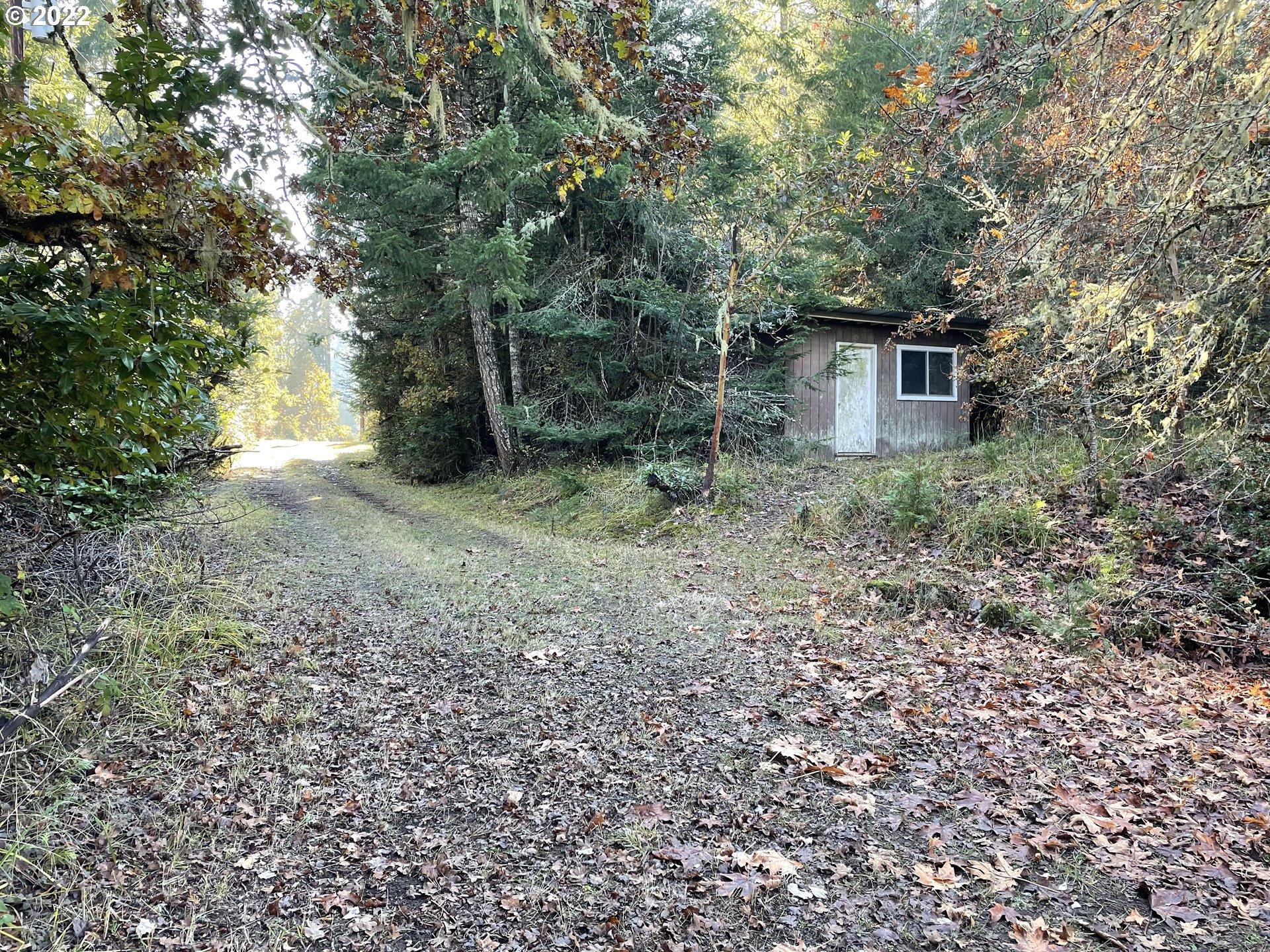 32375 Deberry Road Creswell, OR 97426 - Photo 5 of 23 Gallery Image 5