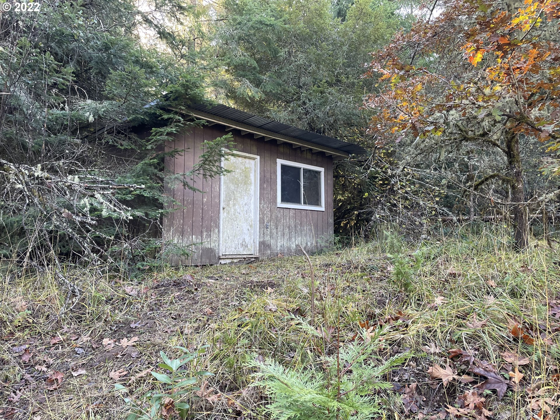 32375 Deberry Road Creswell, OR 97426 - Photo 6 of 23 Gallery Image 6