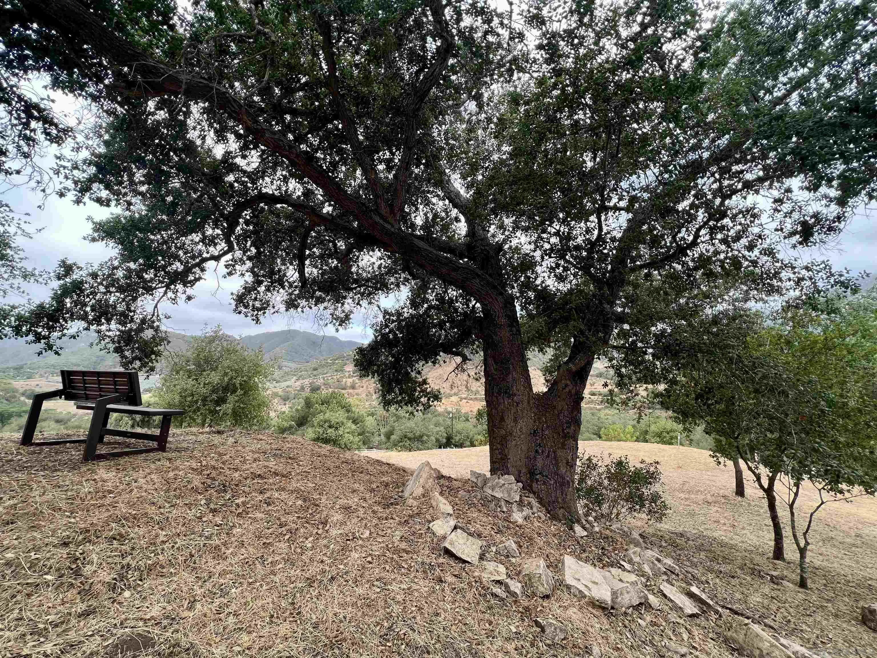 40158 De Luz Road Fallbrook, CA 92028 - Photo 2 of 40 a wooden bench sitting in the middle of a forest