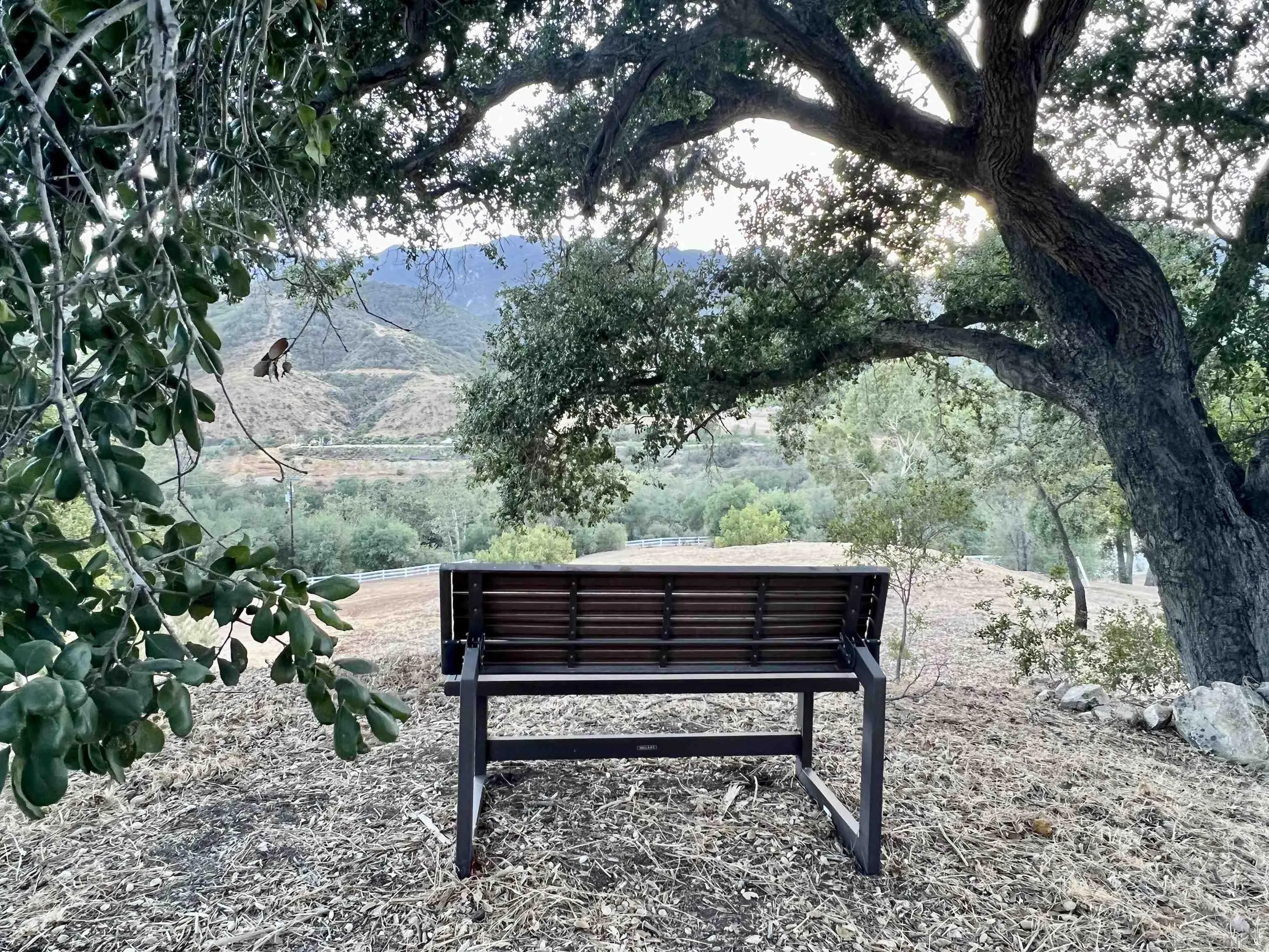 40158 De Luz Road Fallbrook, CA 92028 - Photo 3 of 40 a view of a bench in a backyard