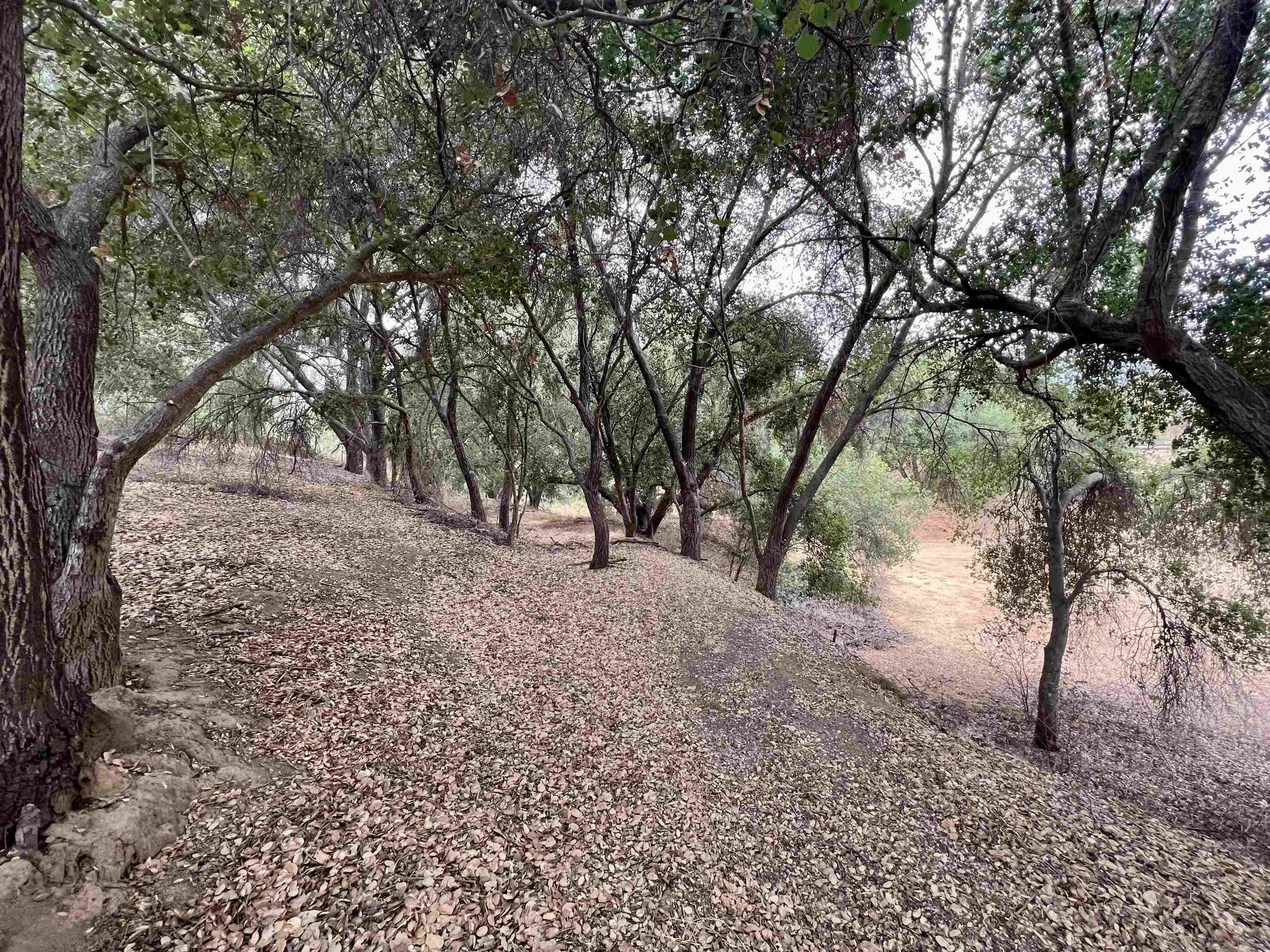 40158 De Luz Road Fallbrook, CA 92028 - Photo 4 of 40 a view of outdoor space and yard