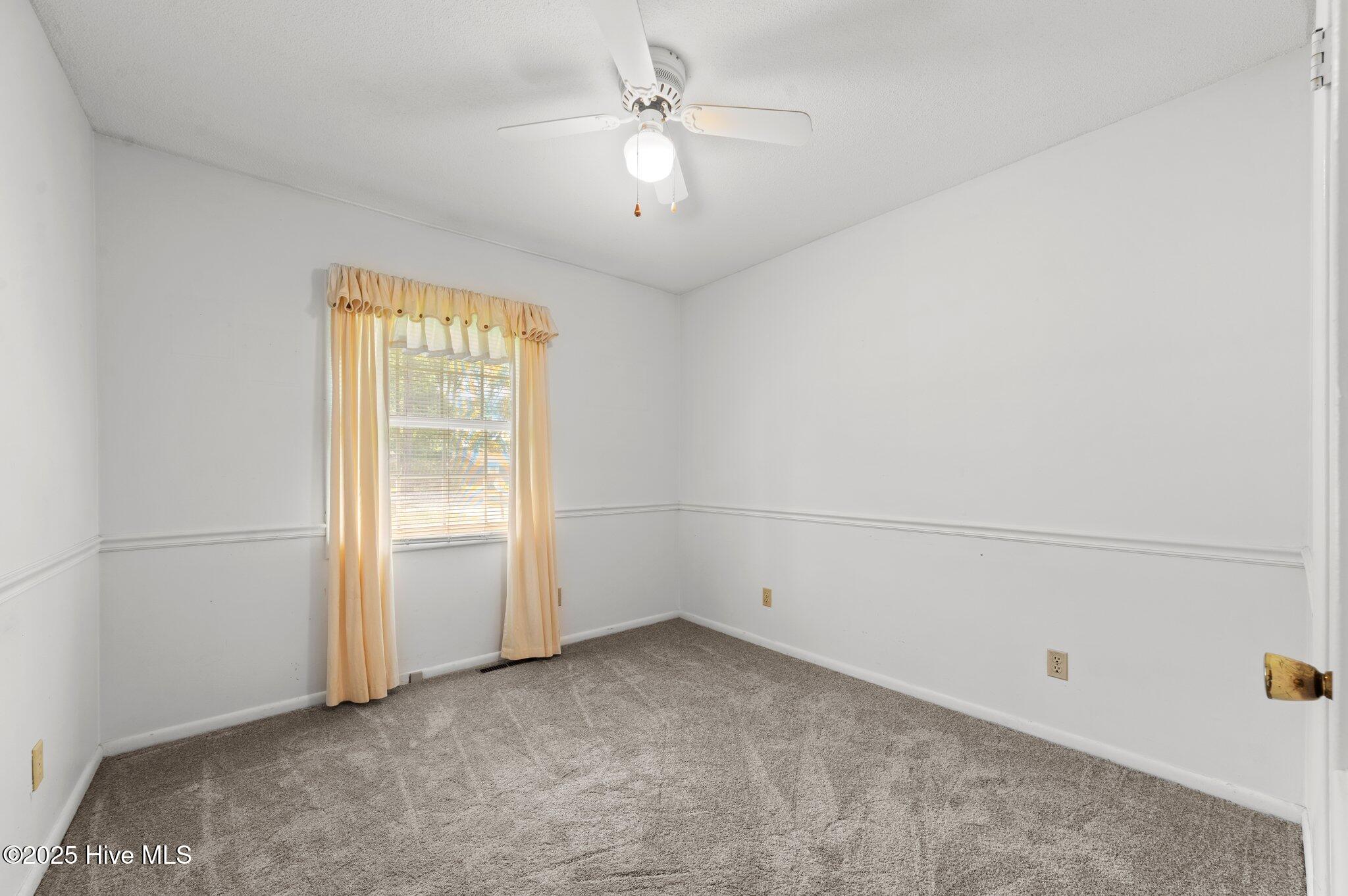 4199 Whichard Road Greenville, NC 27834 - Photo 43 of 50 43-web-or-mls-LHV_8905