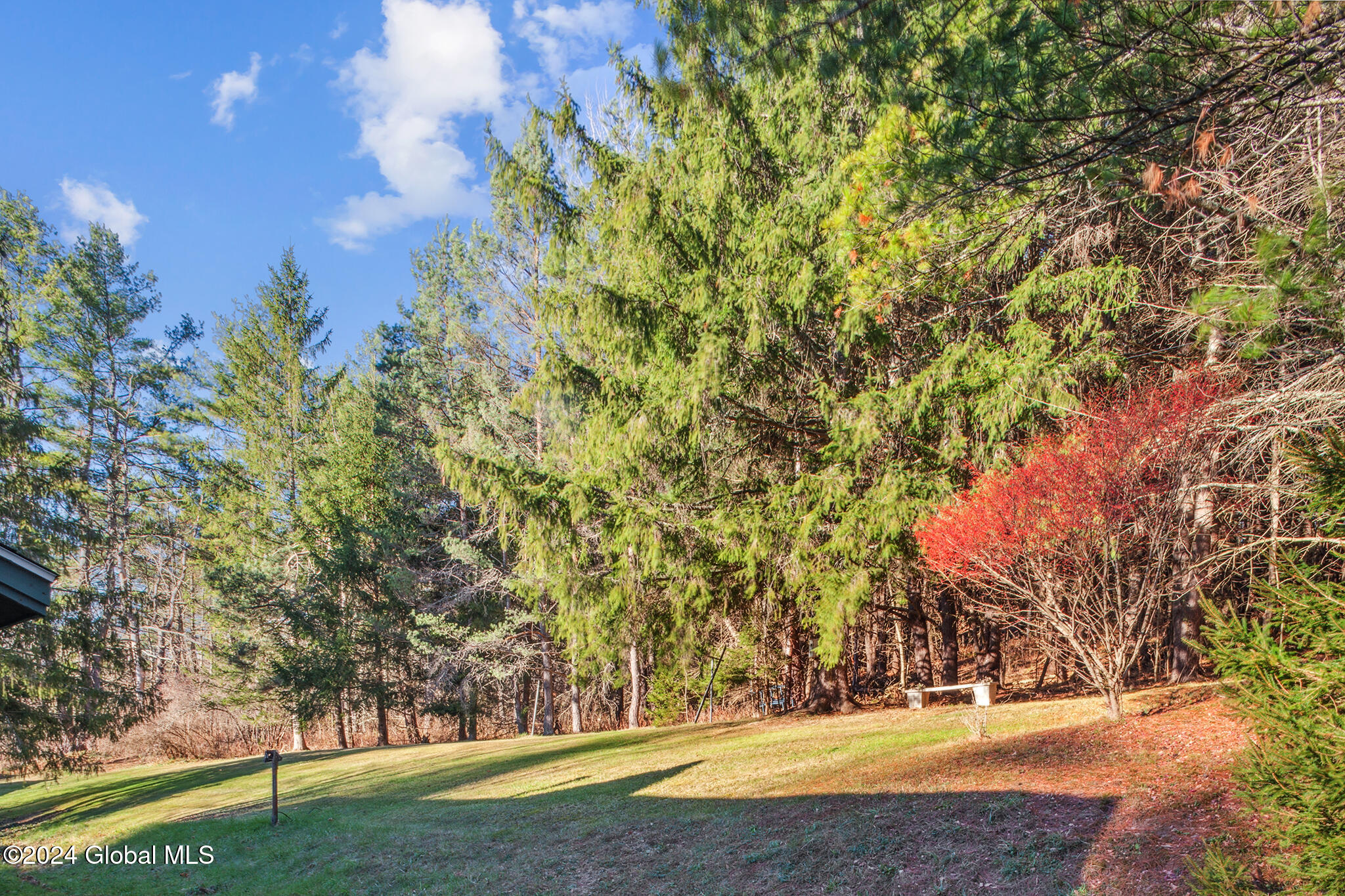 195 Potter Mountain Road Gilboa, NY 12076 - Photo 11 of 11 FS_LT_111324_0014