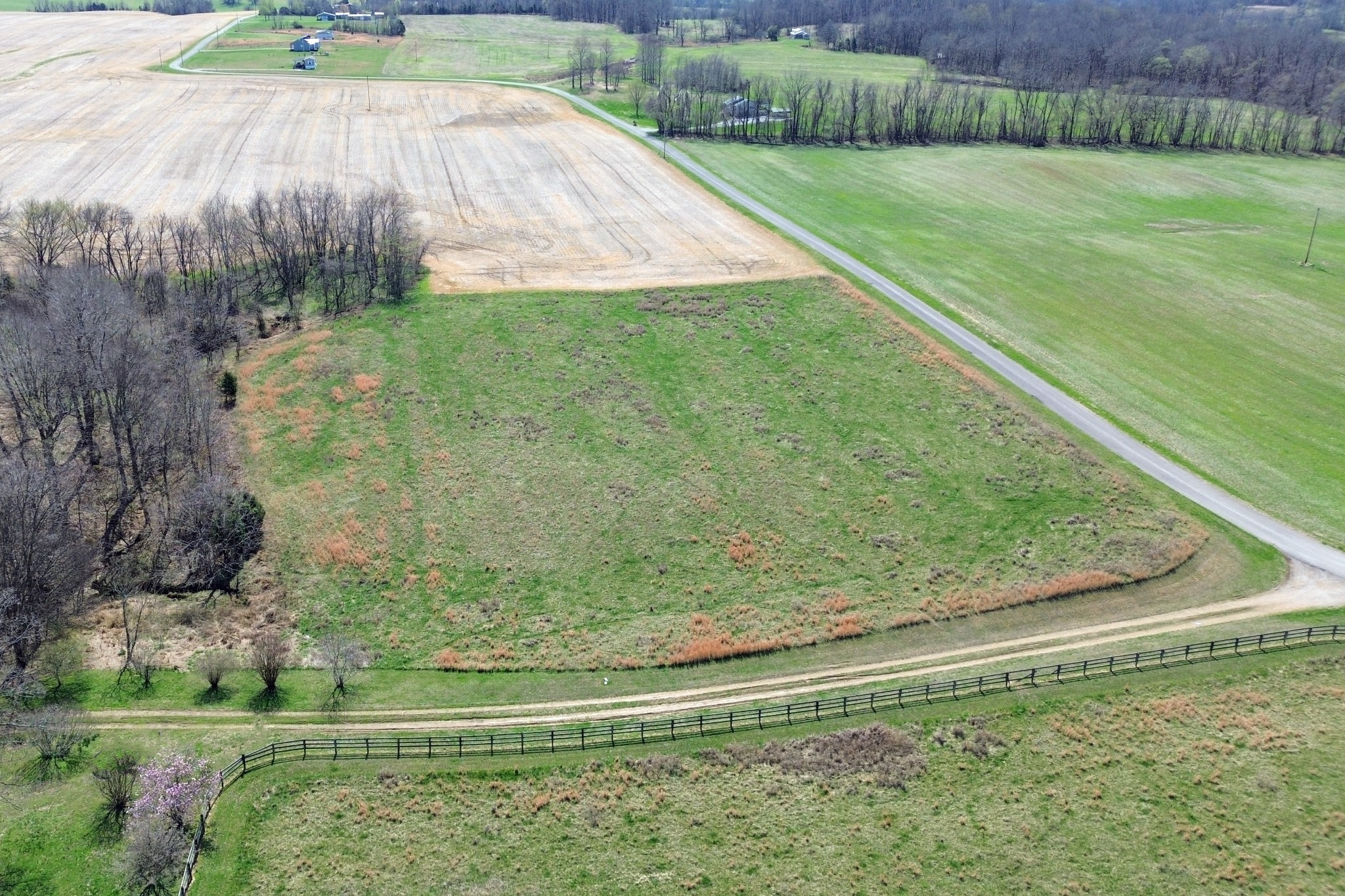 2060 Luther Herald Road Franklin, KY 42134 - Photo 31 of 69 Gallery Image 31