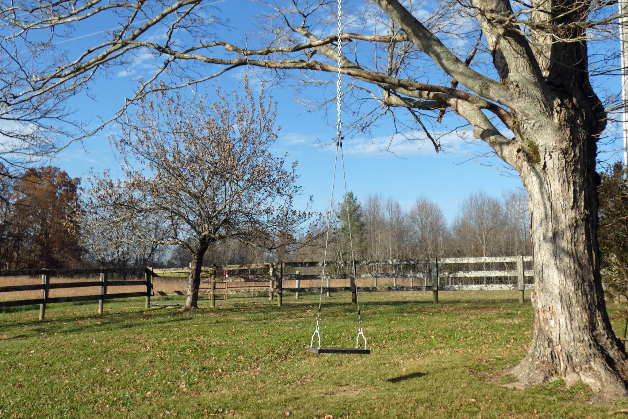 2060 Luther Herald Road Franklin, KY 42134 - Photo 37 of 58 a view of a yard