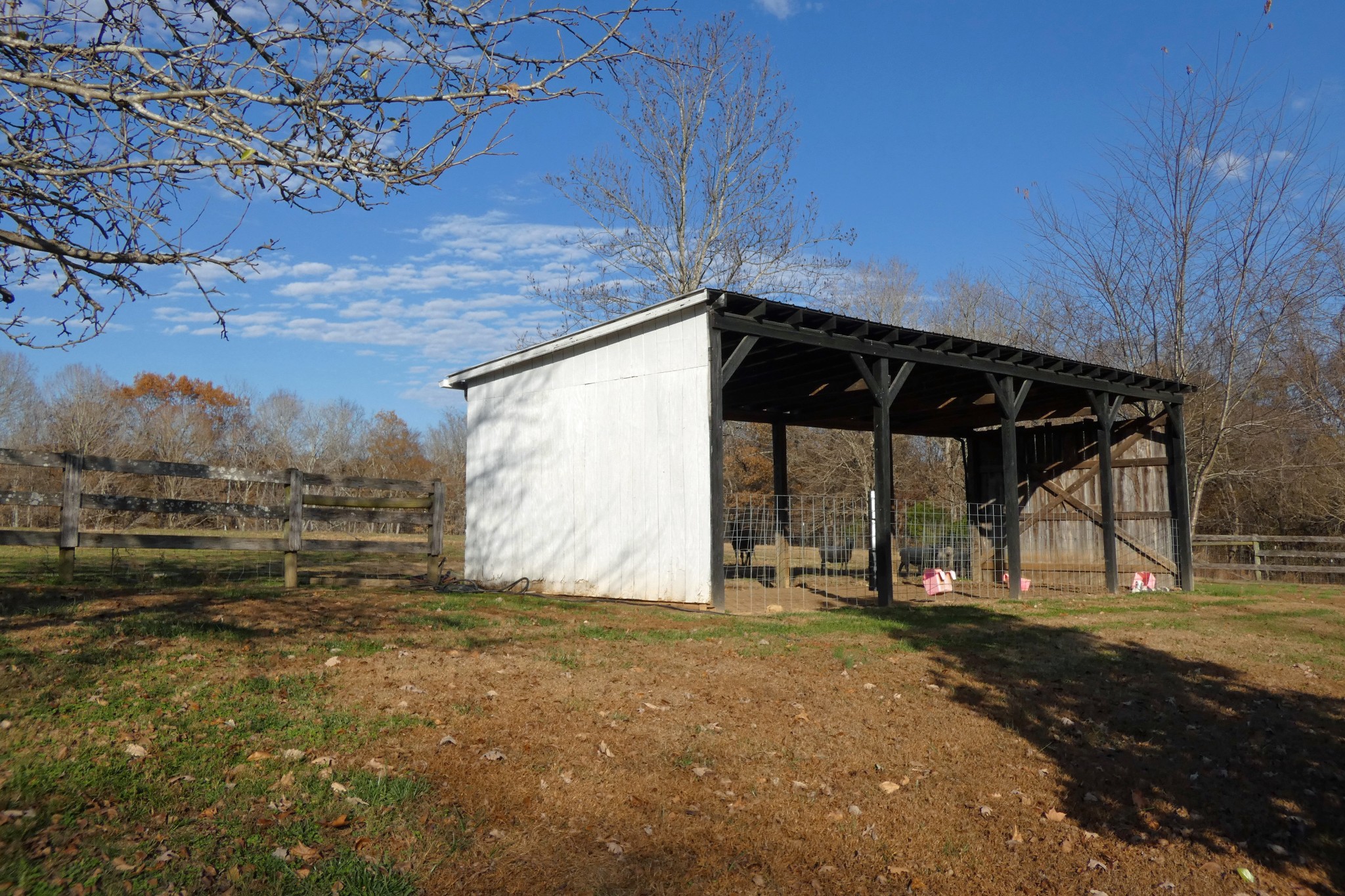 2060 Luther Herald Road Franklin, KY 42134 - Photo 40 of 58 a view of a backyard of the house