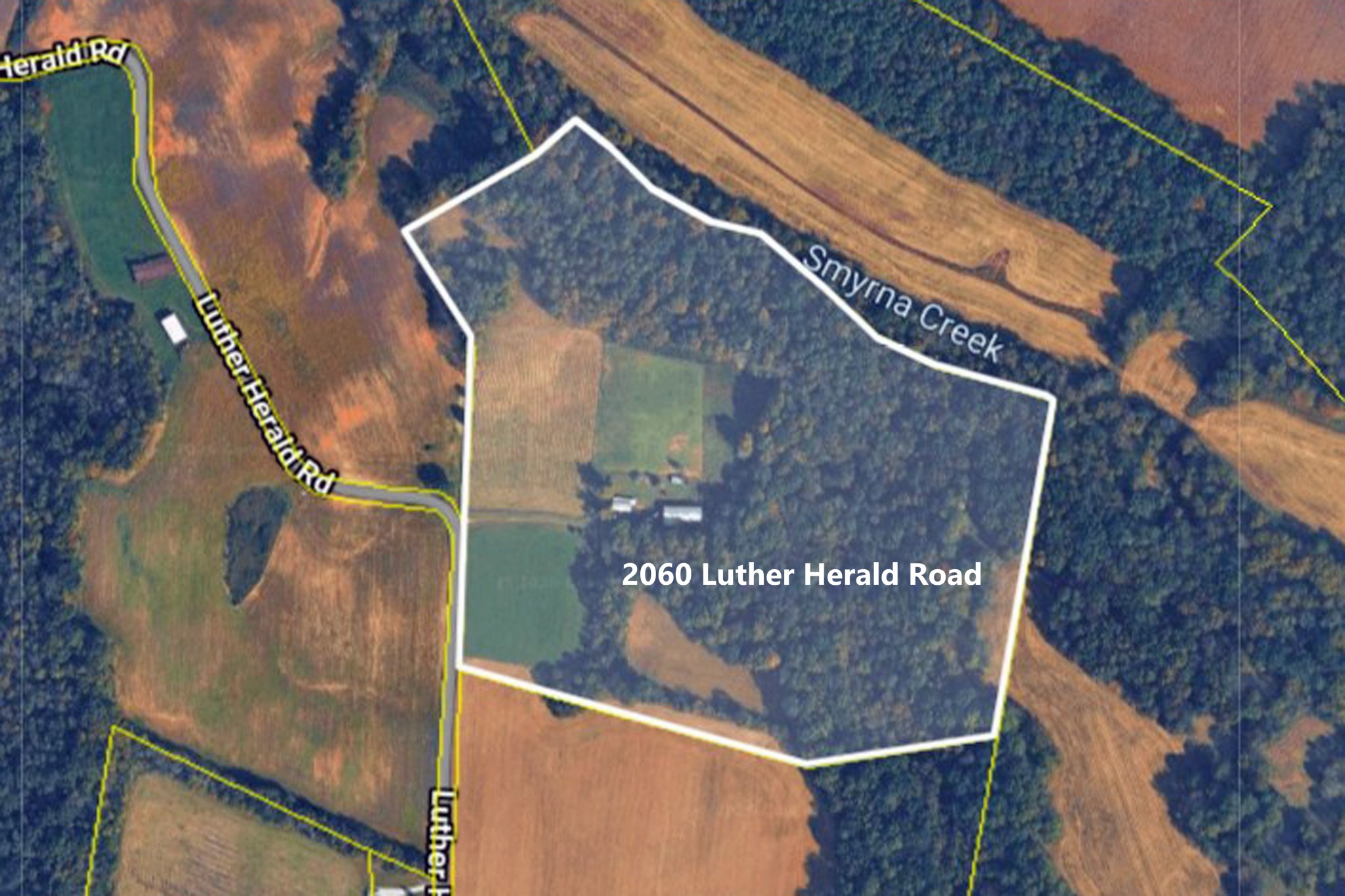 2060 Luther Herald Road Franklin, KY 42134 - Photo 52 of 58 a picture of a tree