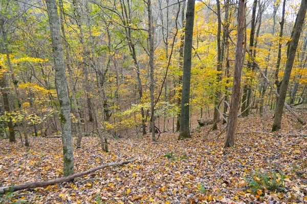 $1,200,000 | 2060 Luther Herald Road, Franklin, KY 42134