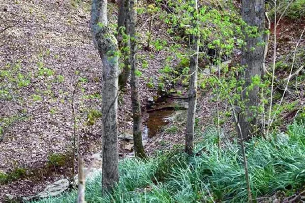 $1,200,000 | 2060 Luther Herald Road, Franklin, KY 42134