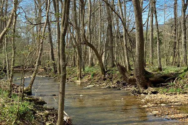 $1,200,000 | 2060 Luther Herald Road, Franklin, KY 42134