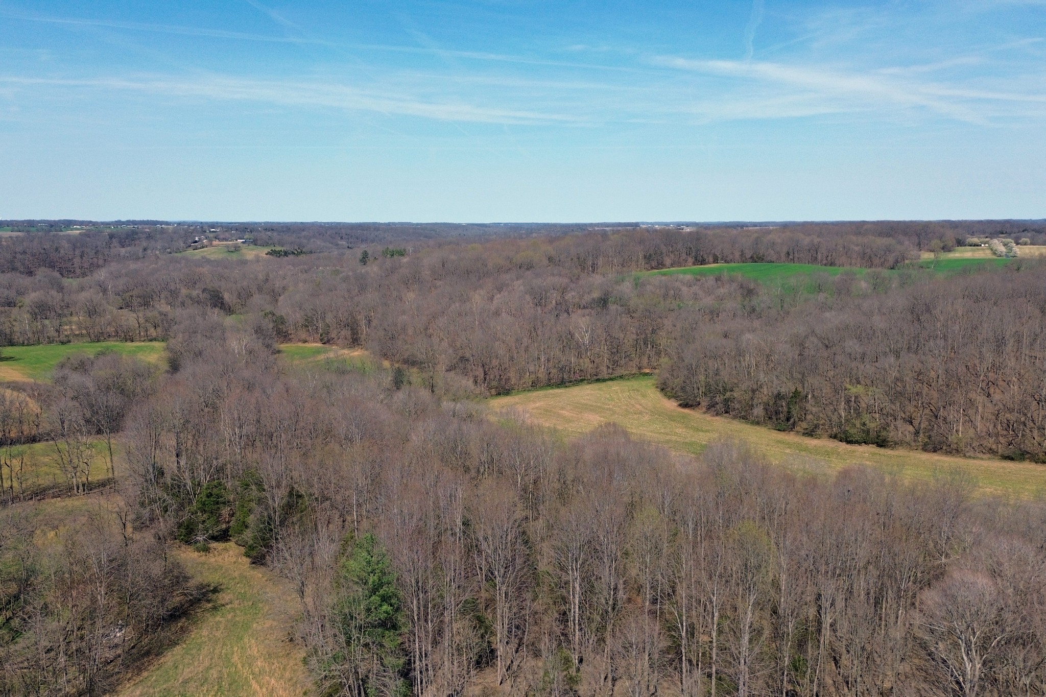 2060 Luther Herald Road Franklin, KY 42134 - Photo 64 of 69 Gallery Image 64