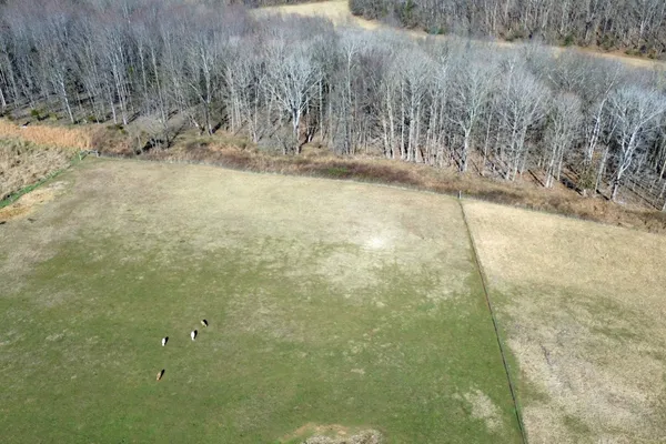 $1,200,000 | 2060 Luther Herald Road, Franklin, KY 42134