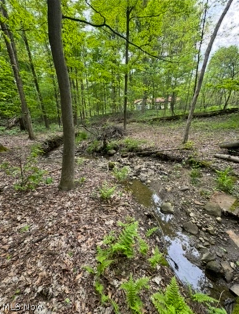 12684 Taylor Wells Road Chardon, OH 44024 - Photo 25 of 38