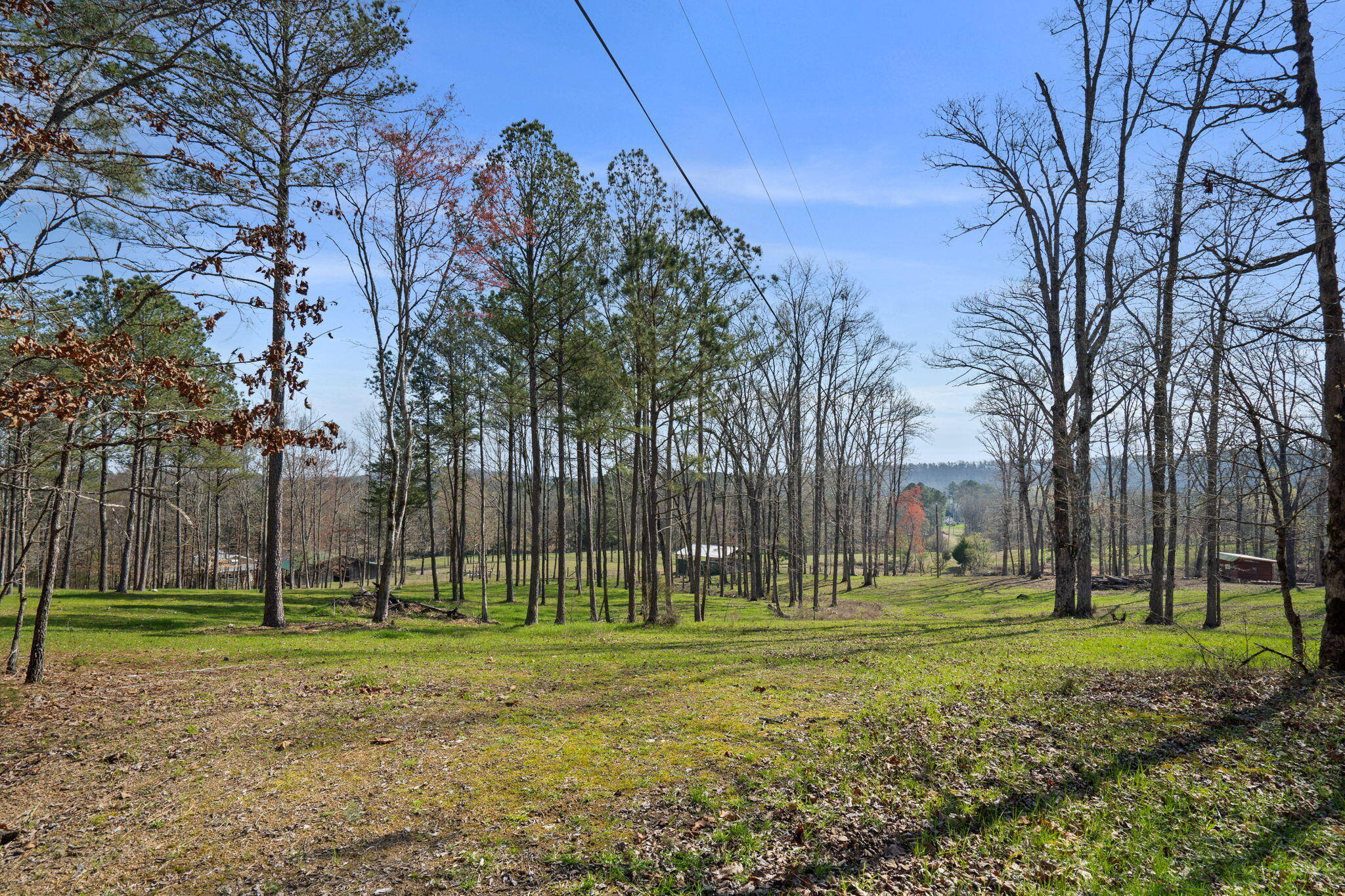 220 Candies Creek Road Southwest Cleveland, TN 37311 - Photo 23 of 58 31-web-or-mls-Farm-Nicole & Amber-31