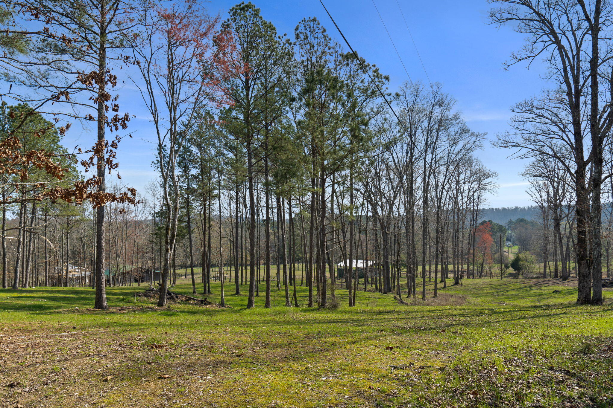 220 Candies Creek Road Southwest Cleveland, TN 37311 - Photo 24 of 58 32-web-or-mls-Farm-Nicole & Amber-32