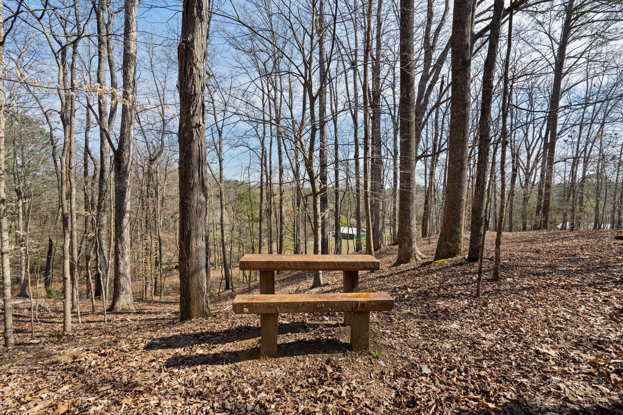 220 Candies Creek Road Southwest Cleveland, TN 37311 - Photo 25 of 58 33-web-or-mls-Farm-Nicole & Amber-33