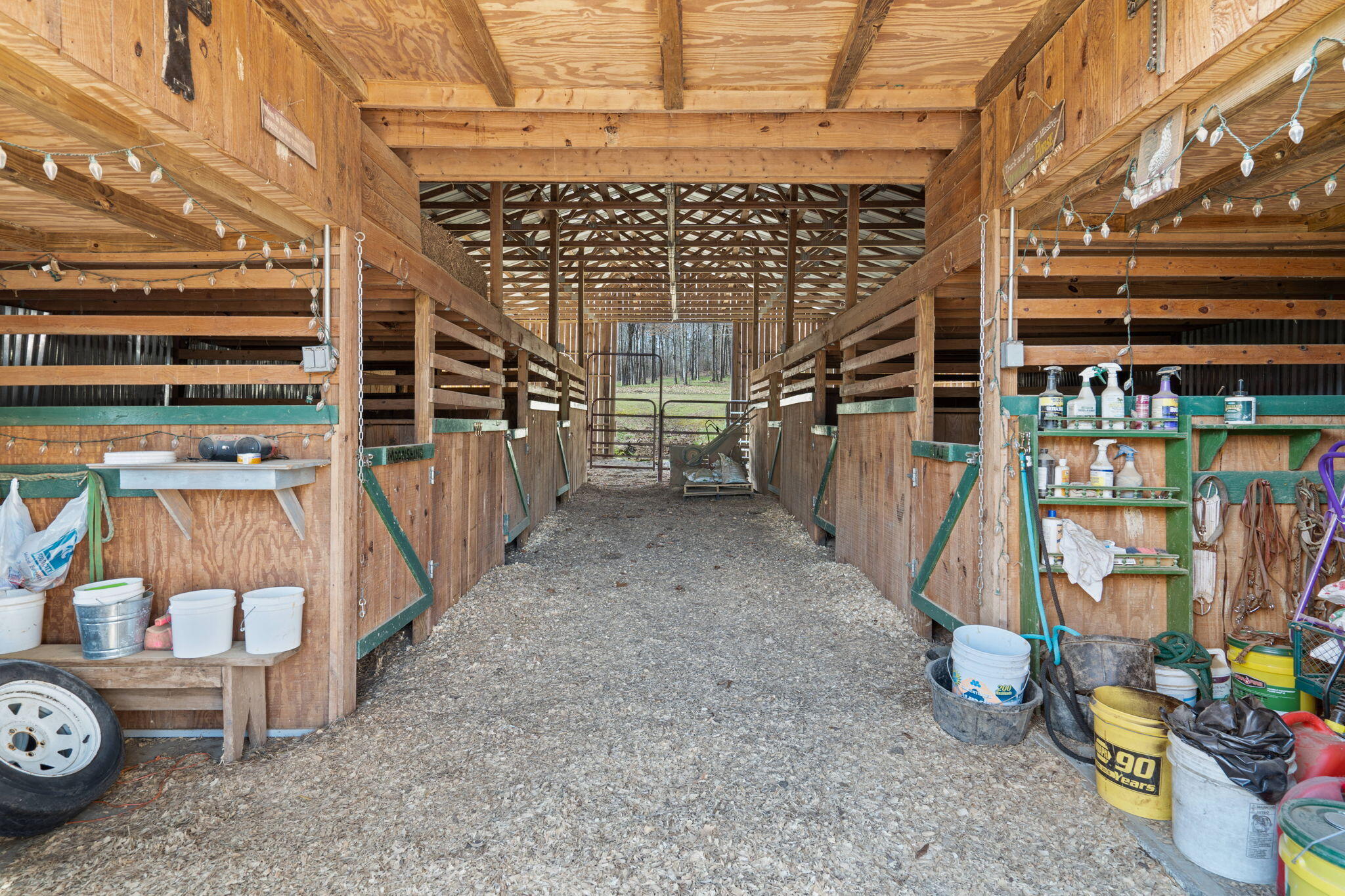 220 Candies Creek Road Southwest Cleveland, TN 37311 - Photo 29 of 58 37-web-or-mls-Farm-Nicole & Amber-37