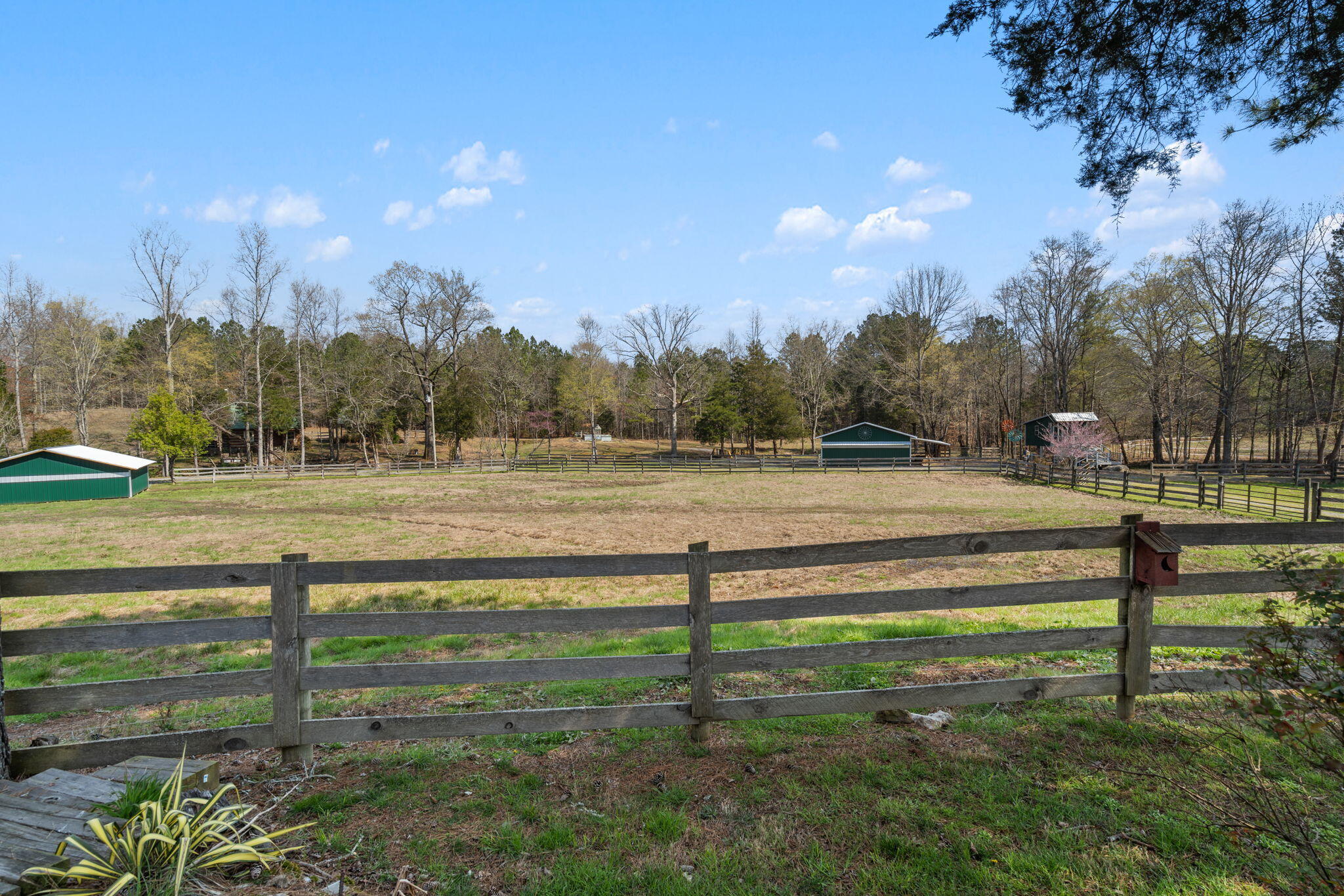 220 Candies Creek Road Southwest Cleveland, TN 37311 - Photo 44 of 58 52-web-or-mls-Farm-Nicole & Amber-52