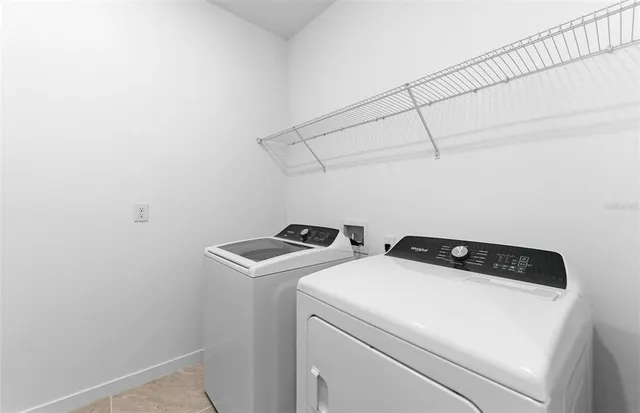 a view of a backyard with plants and large tree