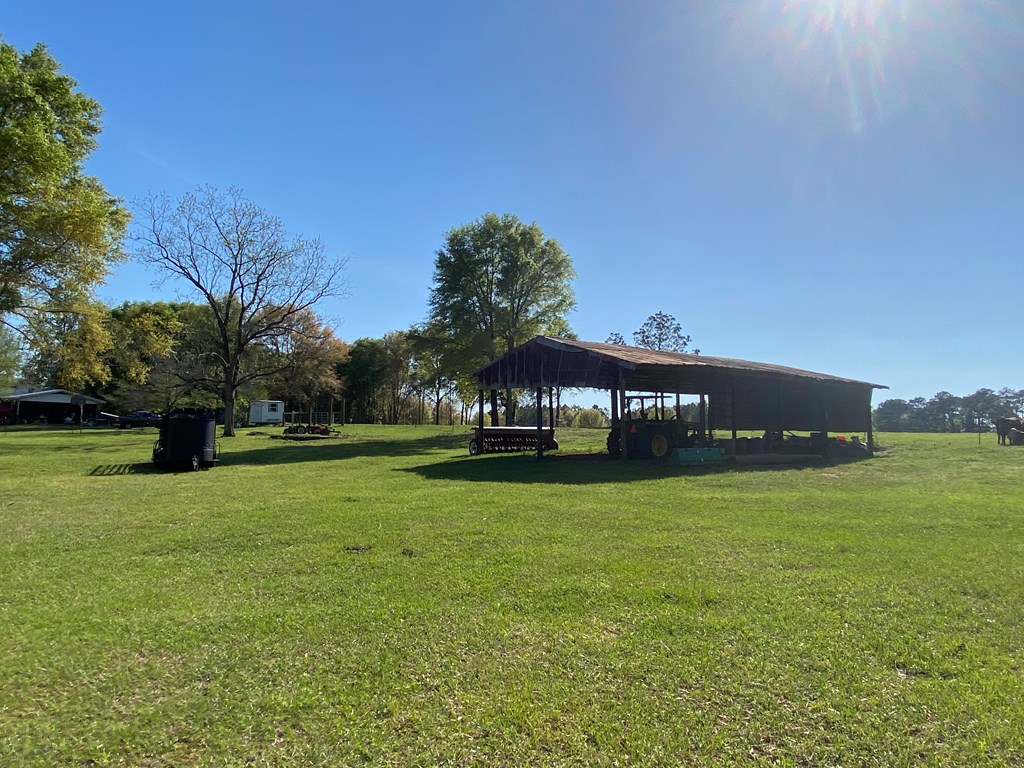 0 Co Road Abbeville, AL 36310 - Photo 5 of 53