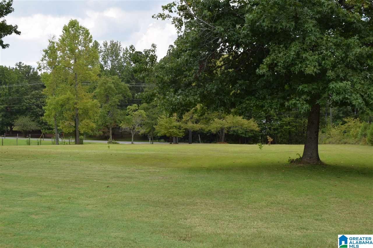 9476 Mountain High Road Warrior, AL 35180 - Photo 9 of 50