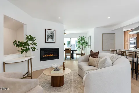 a living room with furniture potted plant and a fireplace