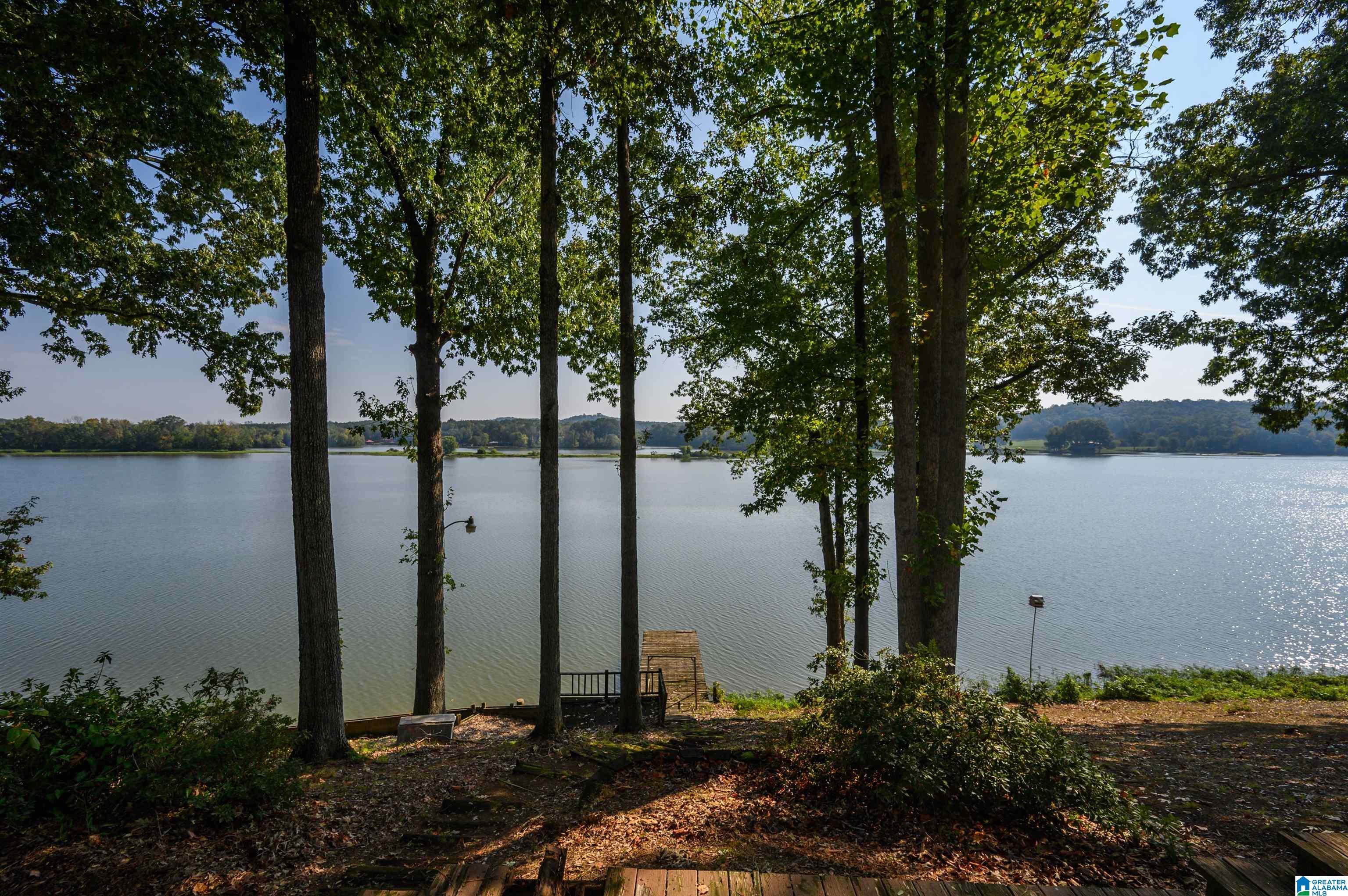 15 Lonesome Pne Road Riverside, AL 35135 - Photo 3 of 78 Gallery Image 3