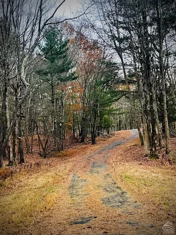 a view of outdoor space and yard