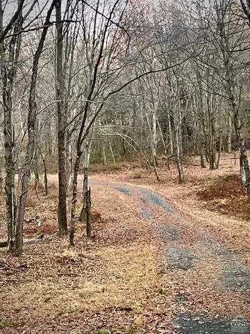 a view of empty space with trees