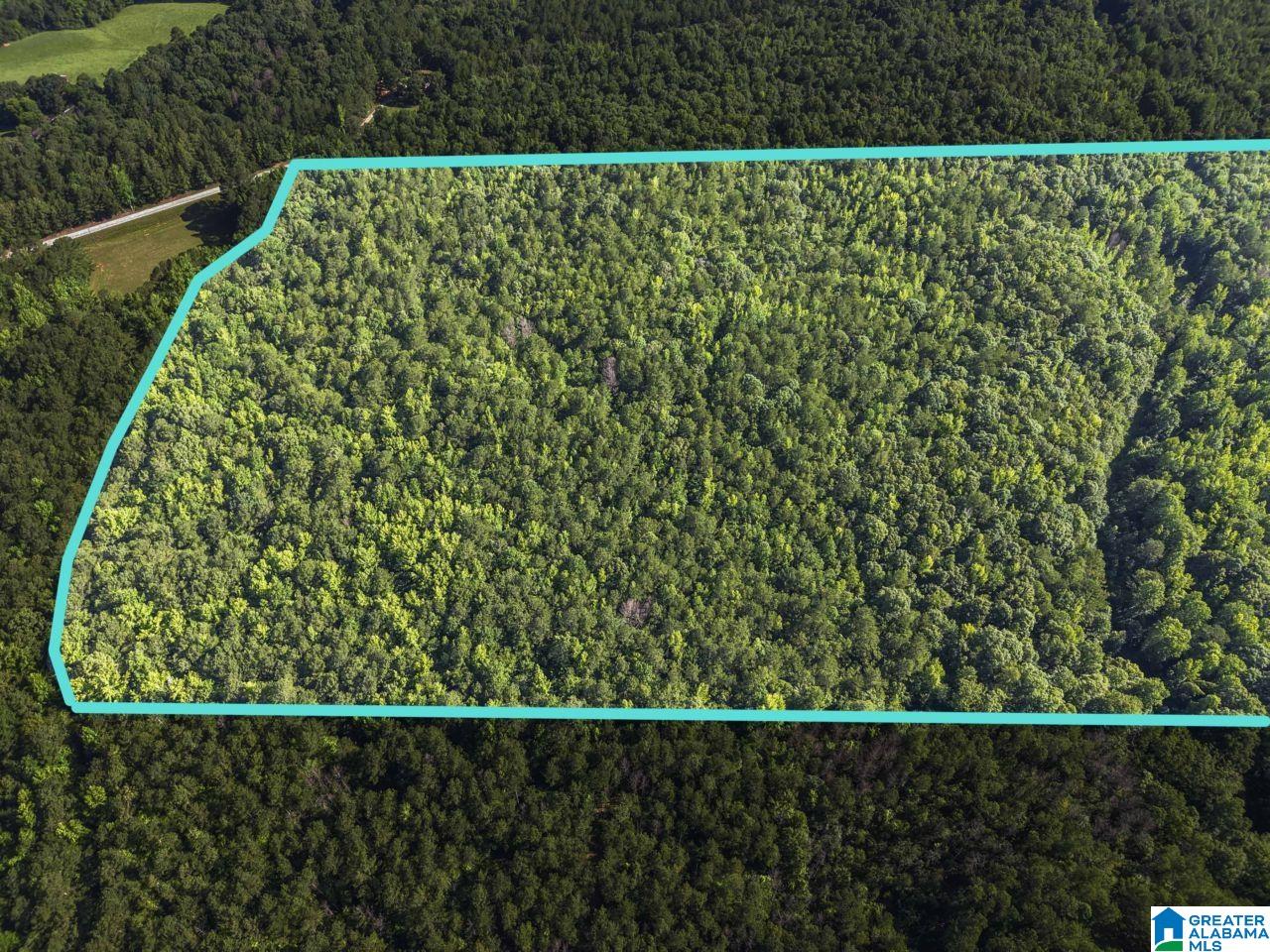 0 Berney Station Road Talladega, AL 35160 - Photo 23 of 32 Gallery Image 23