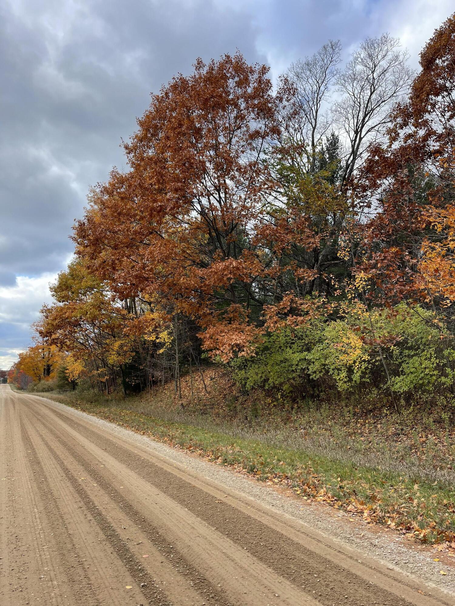 11 11 Mile Road Bear Lake, MI 49614 - Photo 1 of 10 View West