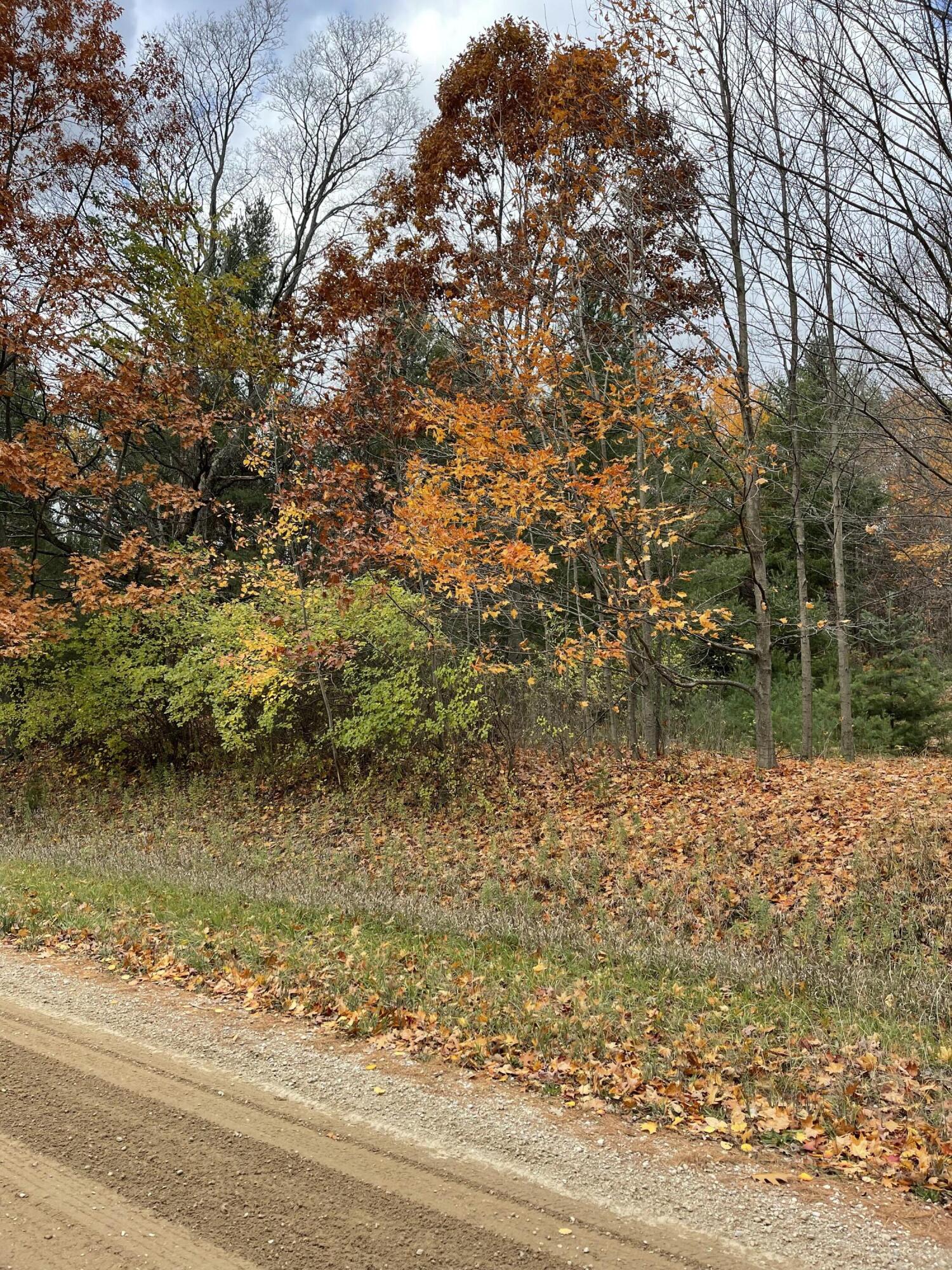 11 11 Mile Road Bear Lake, MI 49614 - Photo 2 of 10 View from East end of property