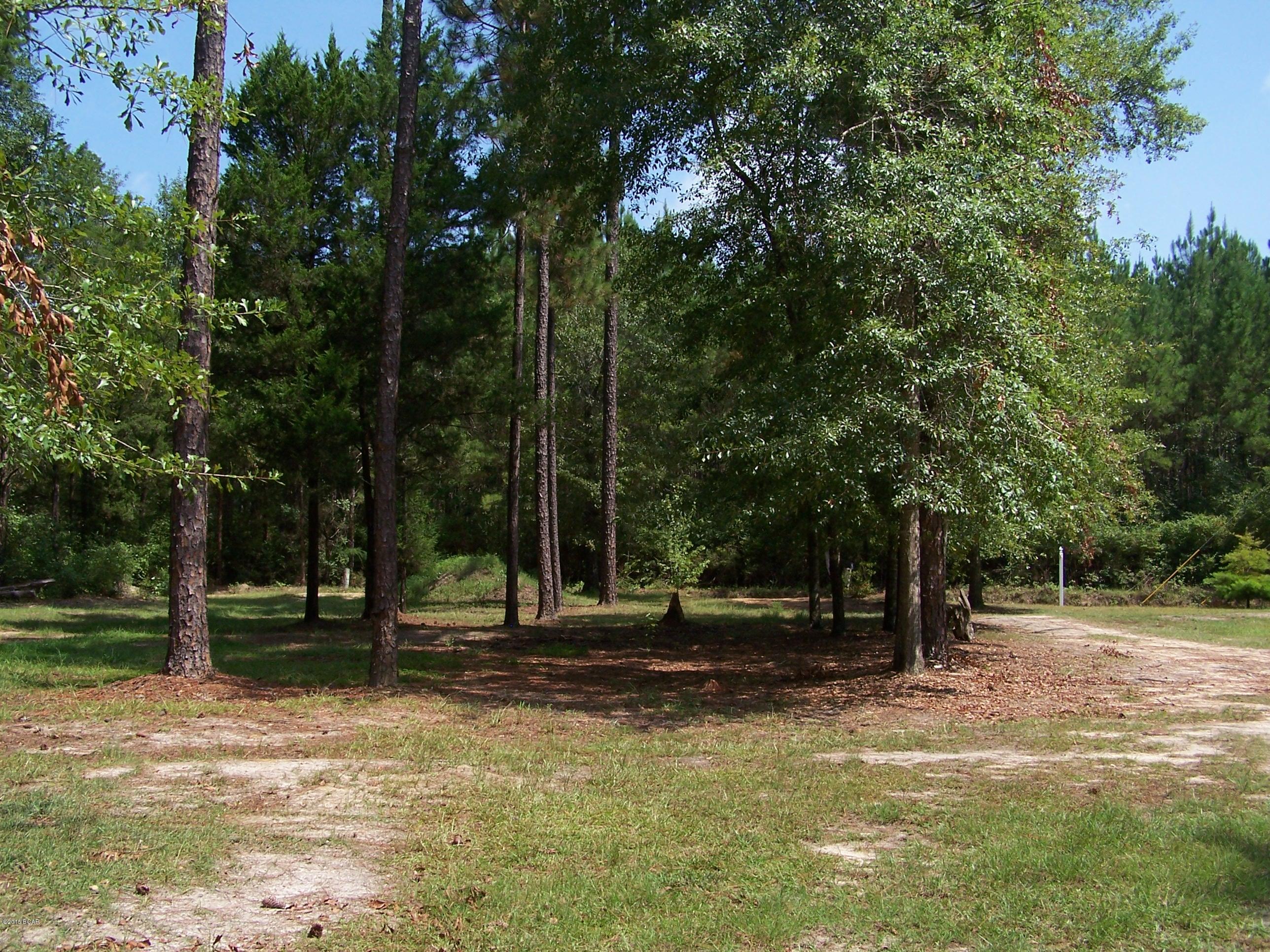 3238 East Martin Road Bonifay, FL 32425 - Photo 48 of 50 Gallery Image 48