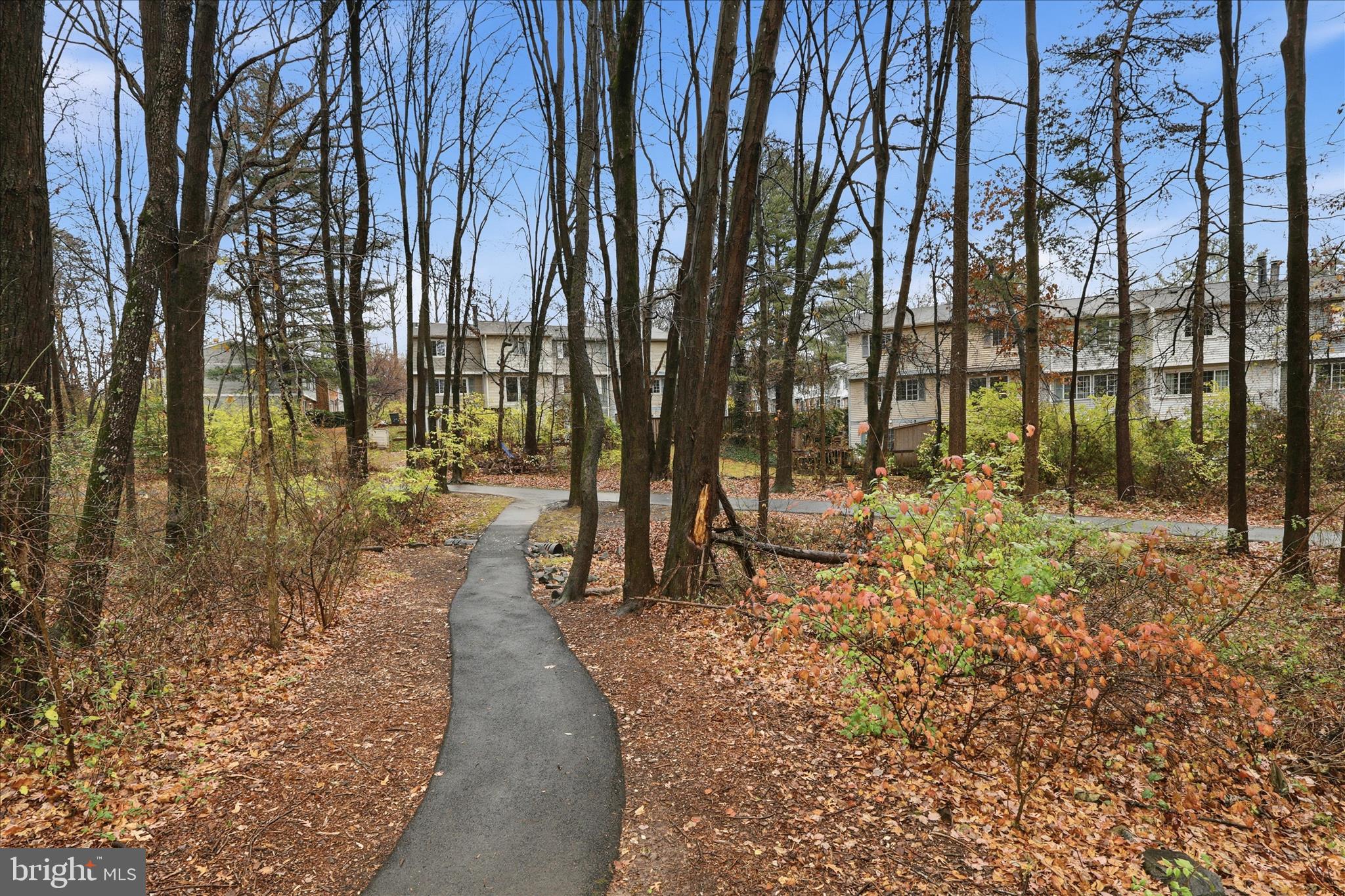 11725 Arbor Glen Way Reston, VA 20194 - Photo 39 of 63 a view of yard