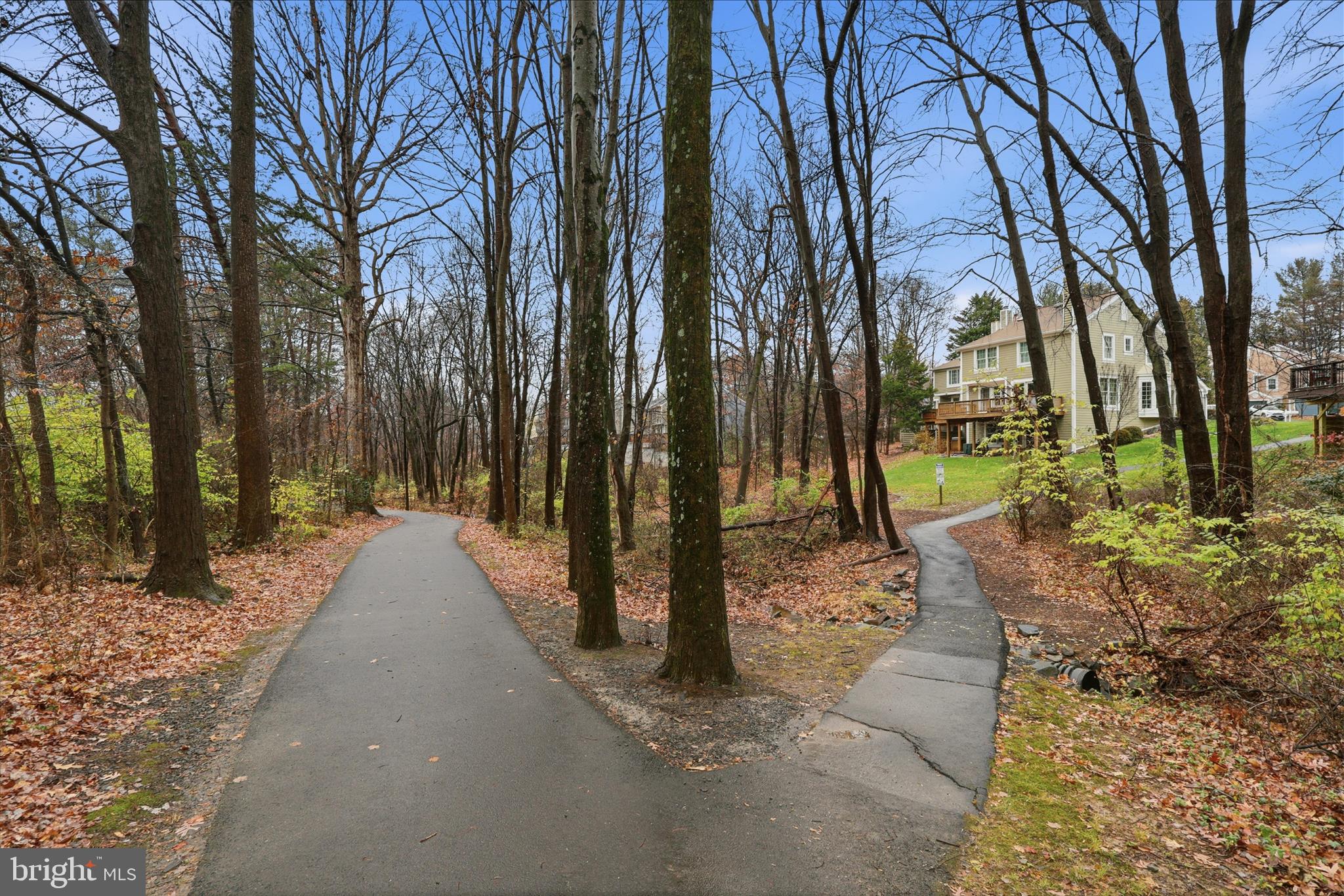 11725 Arbor Glen Way Reston, VA 20194 - Photo 41 of 63 a view of a park with large trees