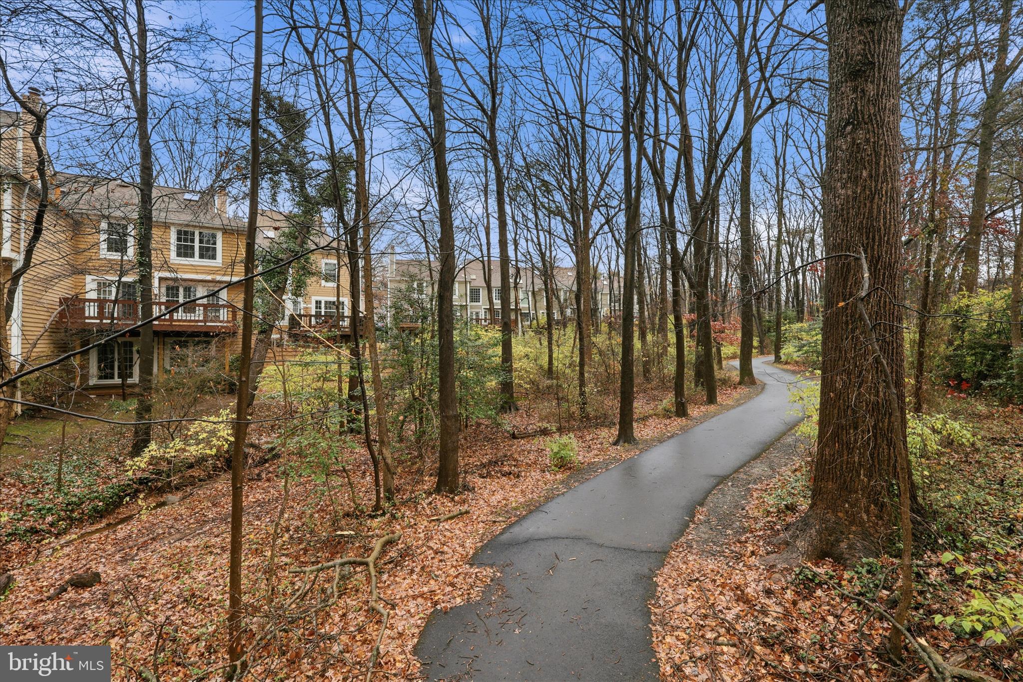 11725 Arbor Glen Way Reston, VA 20194 - Photo 44 of 63 a view of a pathway with a yard