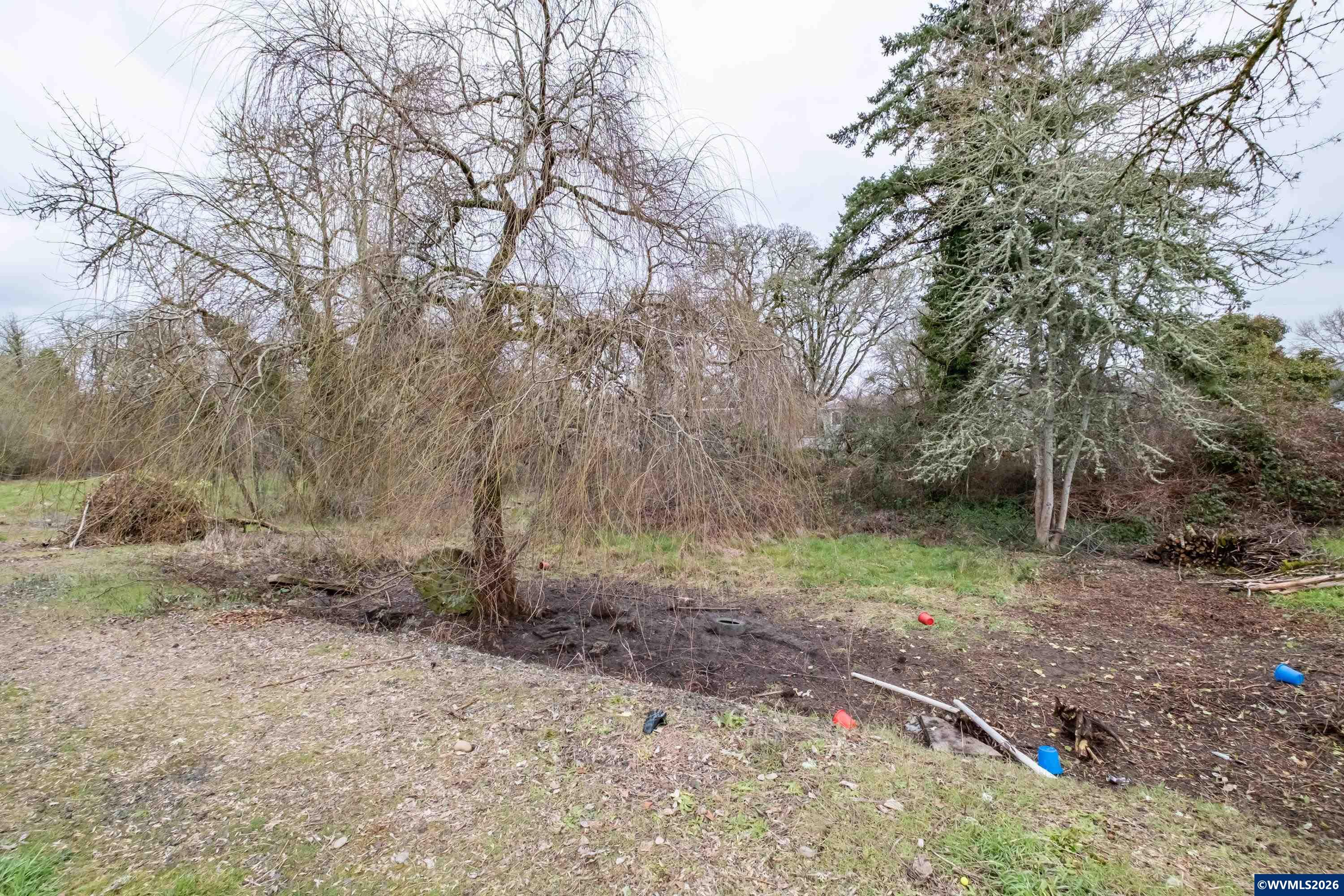 Lot 2 Southwest 12th Avenue Albany, OR 97321 - Photo 2 of 20