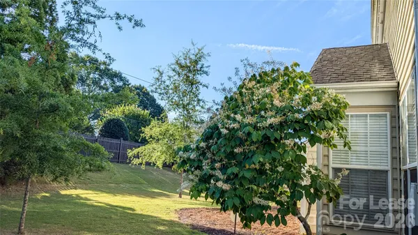 a view of a yard in front of the house