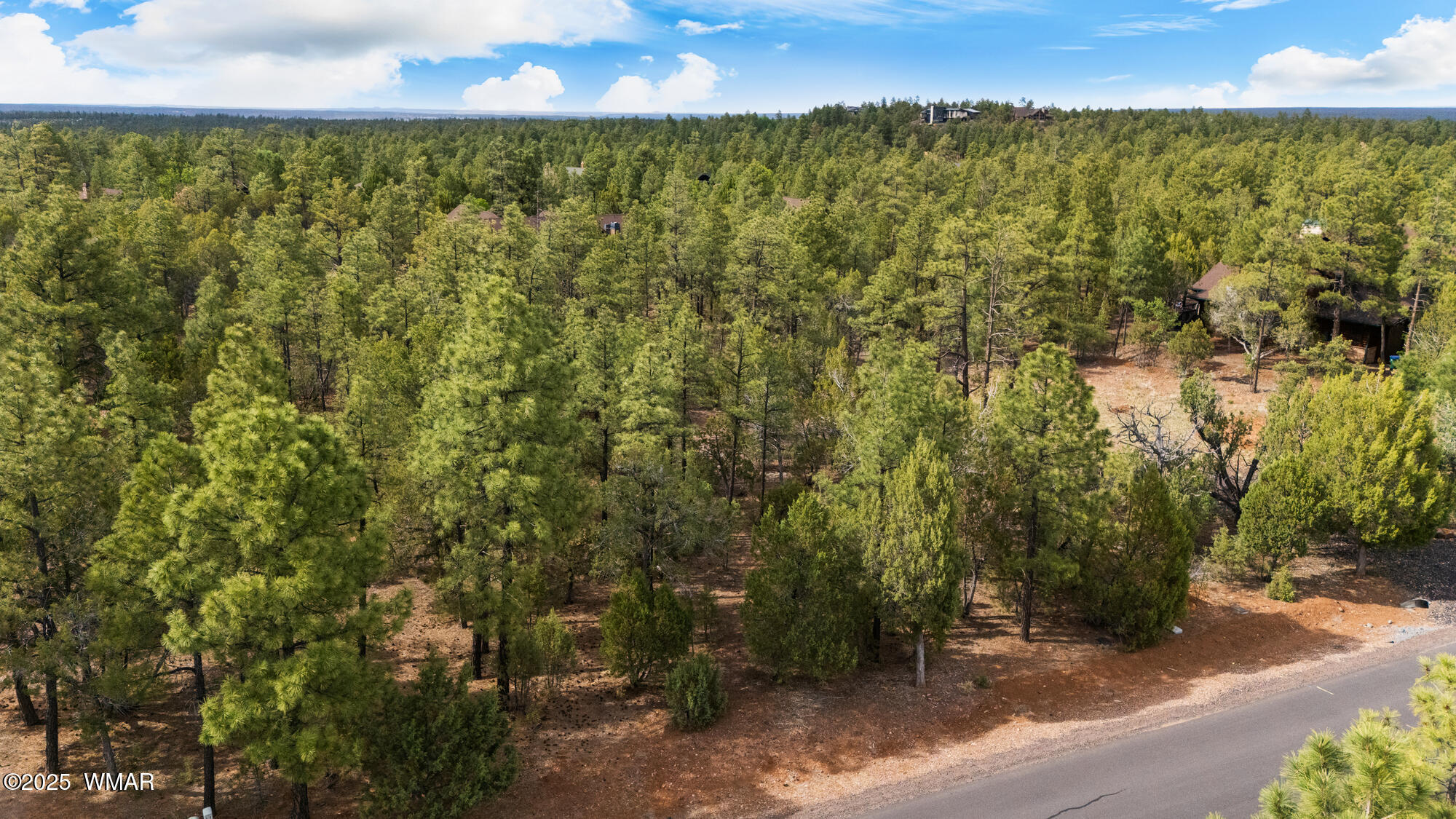 1820 South Monkshood Road Show Low, AZ 85901 - Photo 1 of 28 twinflamerealestatemedia-1_(2000)