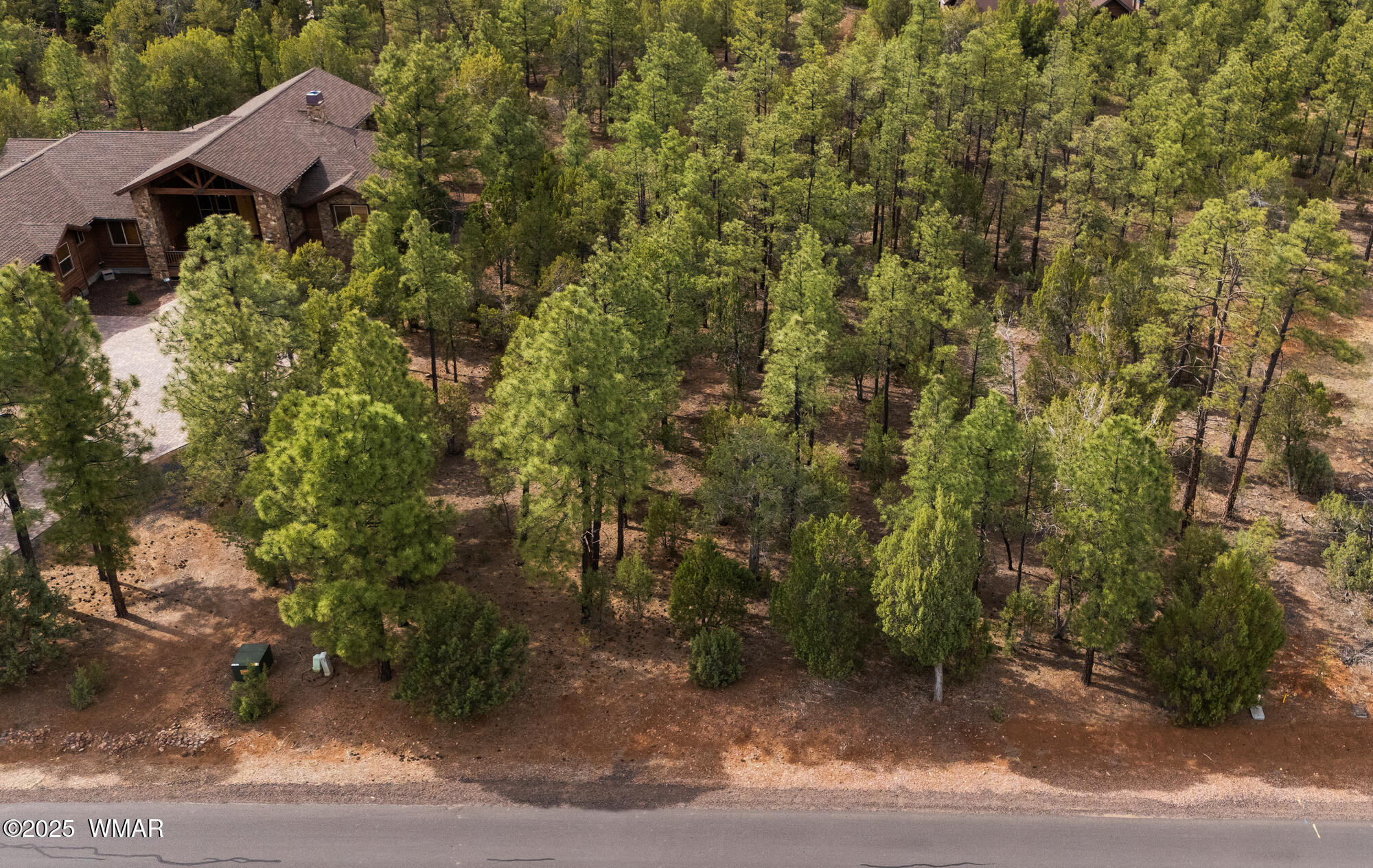 1820 South Monkshood Road Show Low, AZ 85901 - Photo 4 of 28 twinflamerealestatemedia-2_(2000)