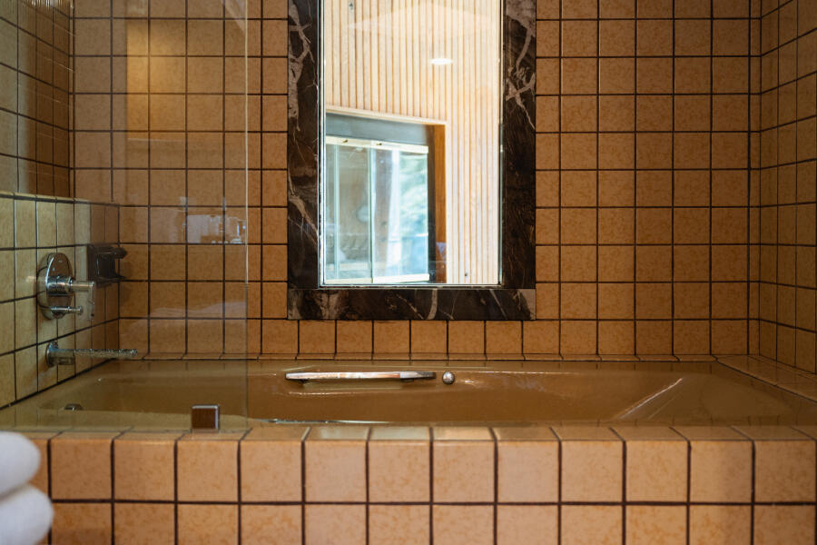 208 Georginia Road, Unit A Ketchum, ID 83340 - Photo 47 of 58 Primary Bathroom