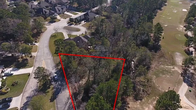 a close up of a tree