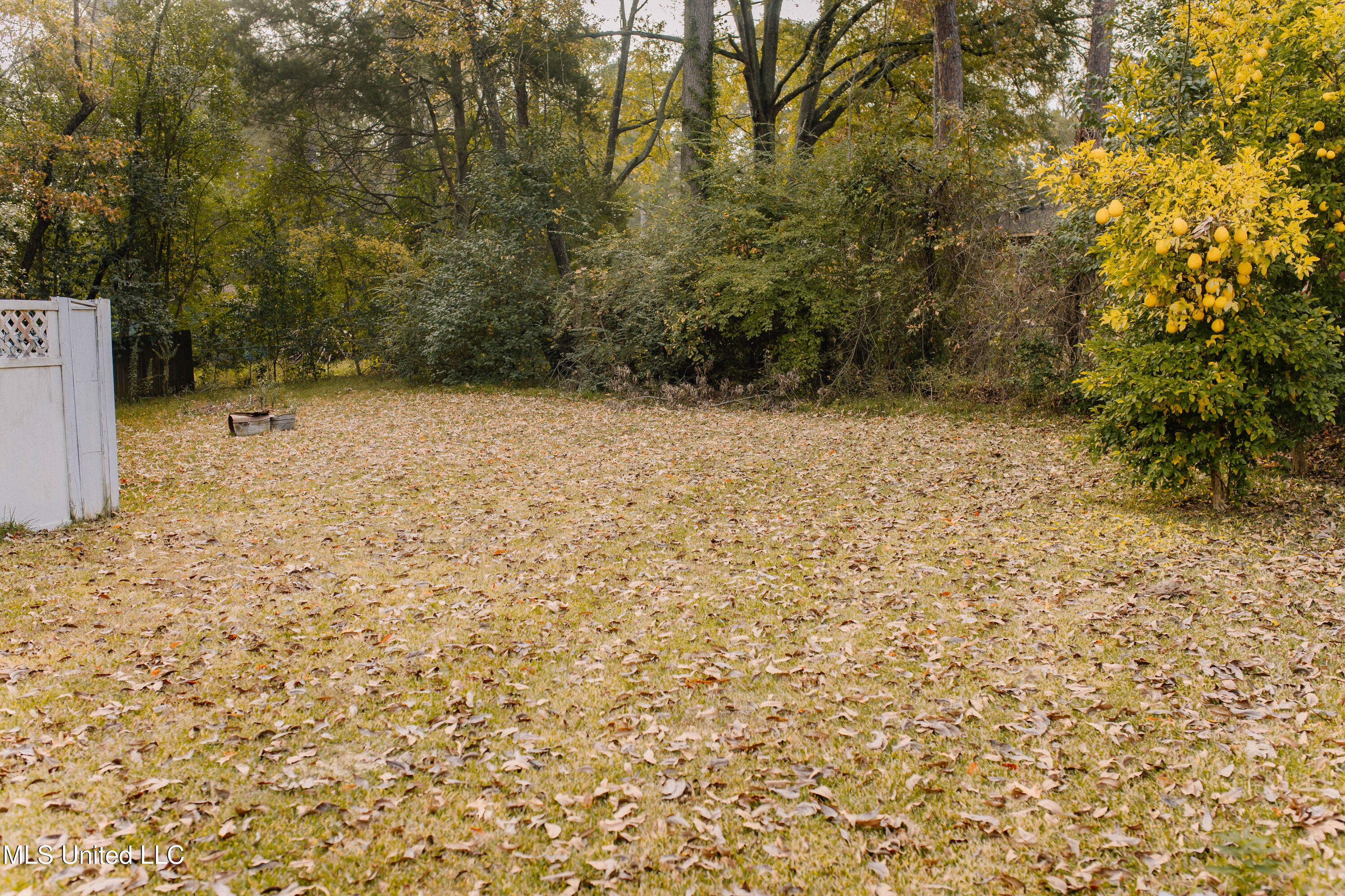 729 Heather Lane Jackson, MS 39206 - Photo 15 of 18 UM1A2846