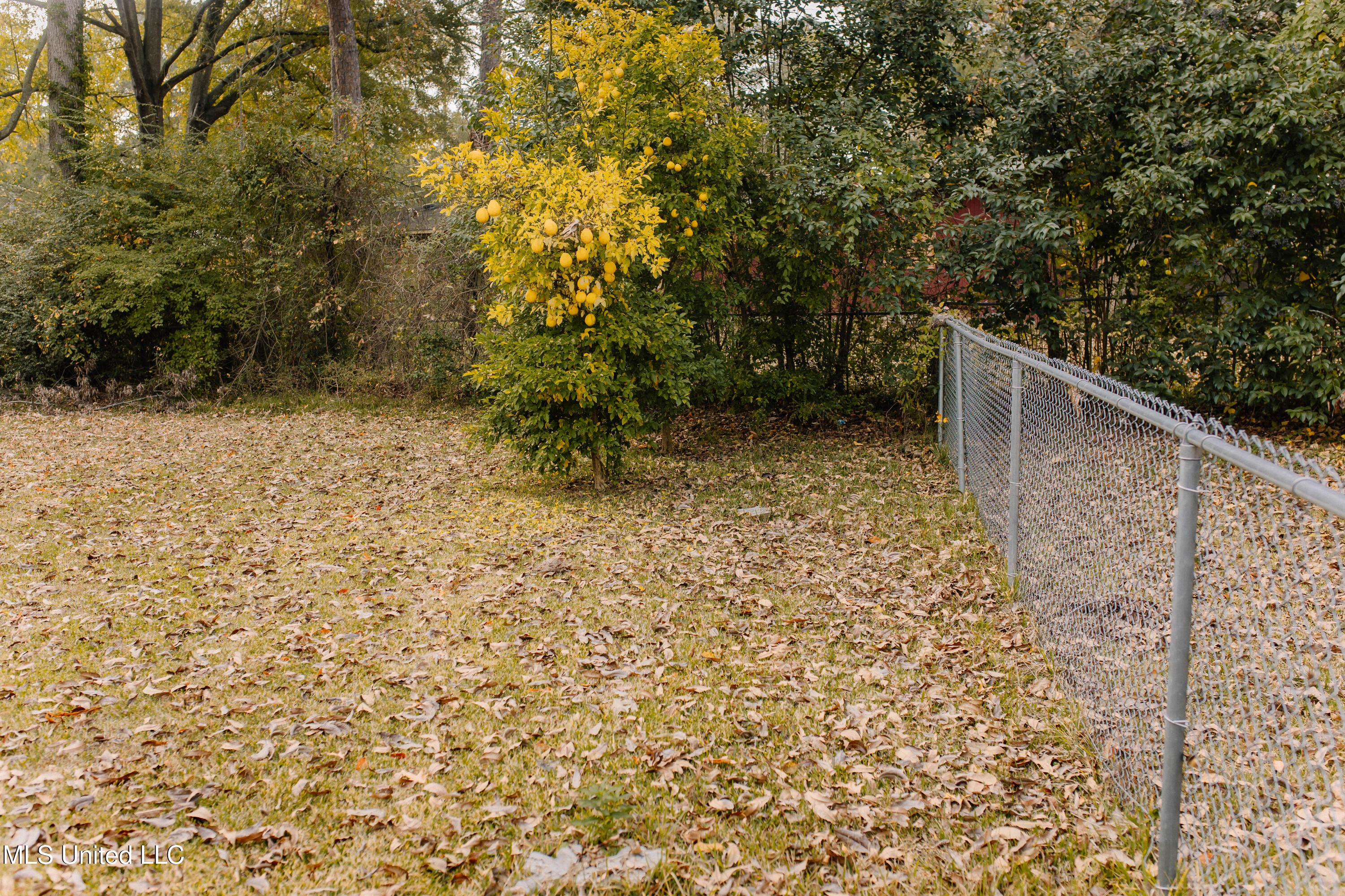 729 Heather Lane Jackson, MS 39206 - Photo 16 of 18 UM1A2847