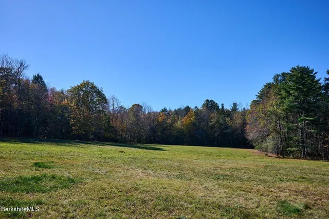 a view of a field with trees in the background