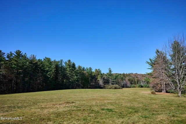 a view of a field with trees in the background