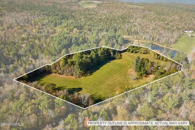 a view of a pool and trees in the background