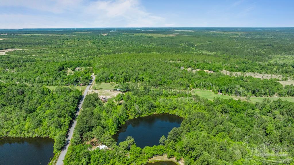 1400 Lake Heights Road Molino, FL 32577 - Photo 11 of 18 a view of a garden